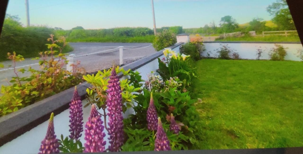 Cozy Cottage Retreat In Listowel Pet Friend المظهر الخارجي الصورة