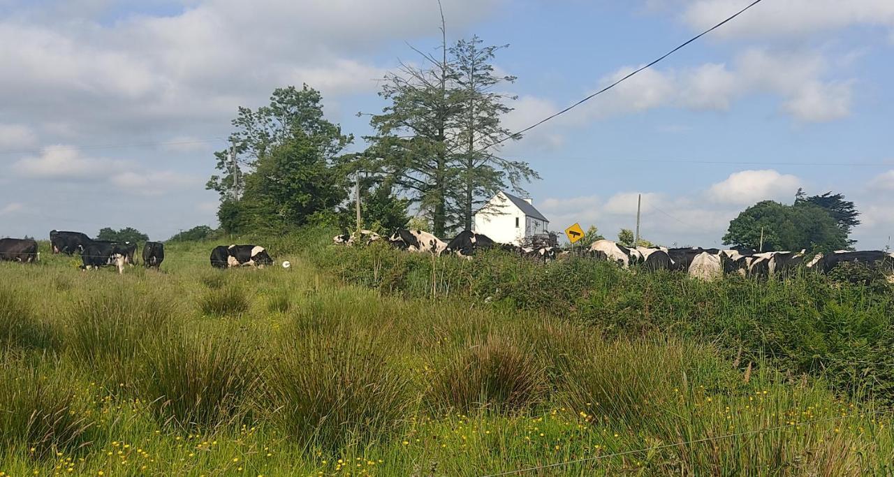 Cozy Cottage Retreat In Listowel Pet Friend المظهر الخارجي الصورة